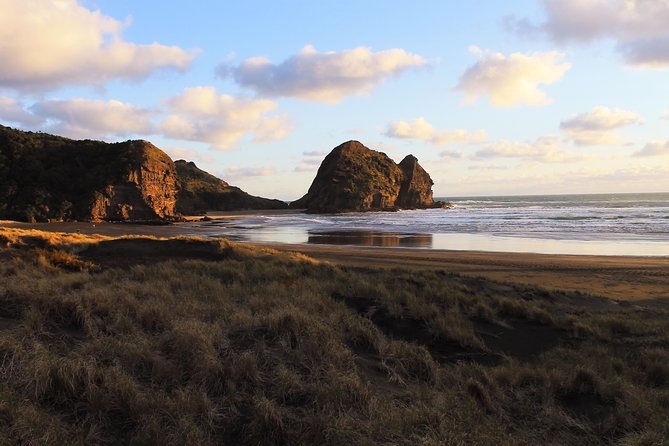 Private Aucklands West Coast - Piha/ Muriwai - Wild West Tour - Pickup Locations