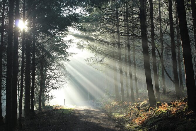 Private Bespoke Guided Nature Walking Tour From Okehampton Station - Starting Point