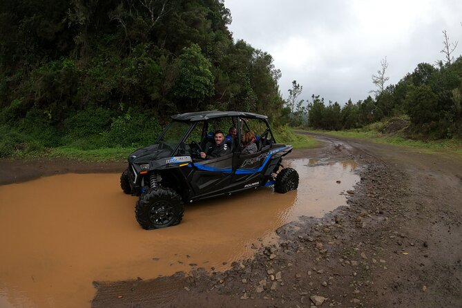 Private Buggy Off-Road Tour - Reviews and Feedback