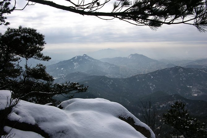 Private Bukhansan Hiking Tour (More Members Less Cost per Person) - Customer Feedback and Reviews