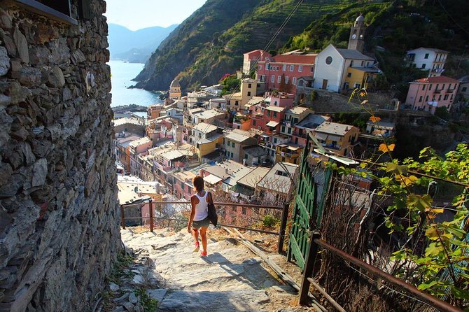 Private Cinque Terre & Pisa Day Trip From the Port of Livorno - Tour Policies and Guidelines
