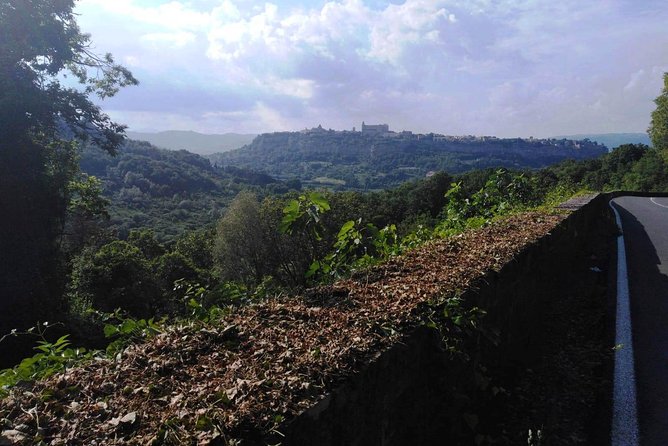 PRIVATE Civita Di Bagnoregio and Orvieto Wine Tasting -Ebike Tour - Day Trip Details