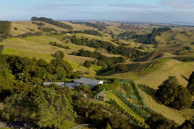 Private Coffee Farm Tour in Doubtless Bay - Logistics and Meeting Point Information