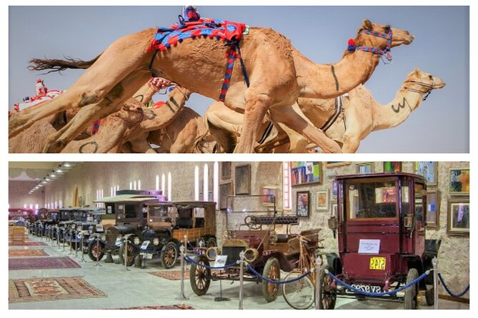 (Private Combo Tour) Sheikh Faisal Museum And Camel Race Track - Traveler Experiences