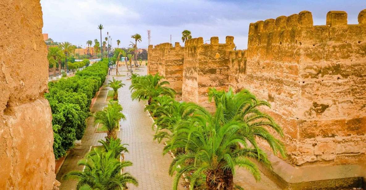 Private Day Excursion to Taroudant Oissis Tiout With Lunch - Experience Highlights