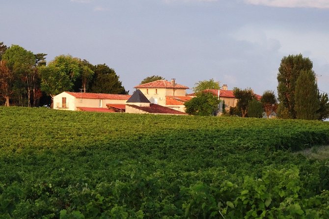 Private Day-Tour From Angouleme: Facets of Cognac : Brand, Distillery, Cooperage - Exclusive Access