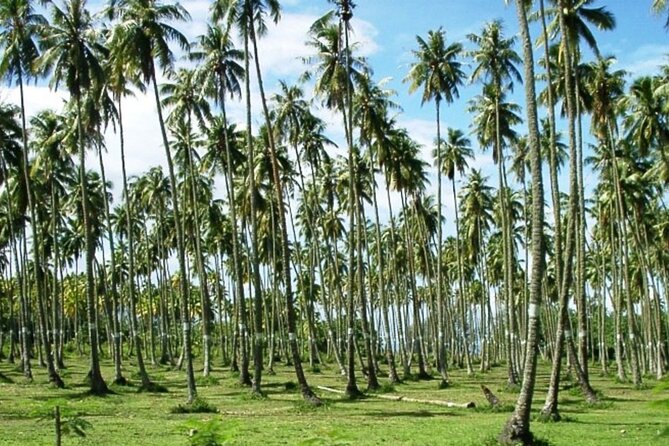 Private Day Tour of the Island and Peninsula of Tahiti - Additional Information