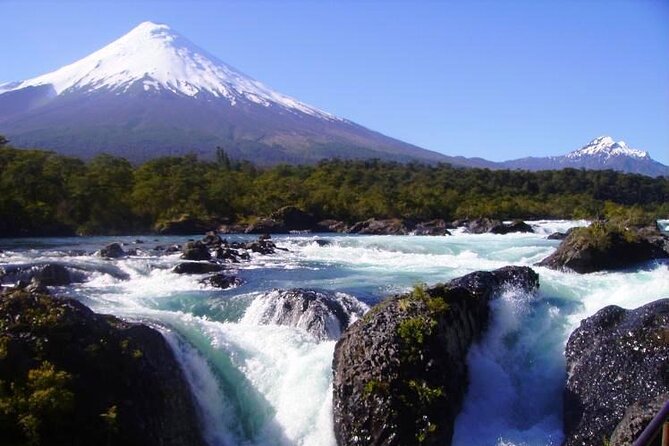 Private Day Tour Petrohue Falls, Osorno Volcano & Puerto Varas - Customer Reviews
