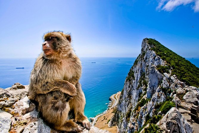 *Private Day Trip* Gibraltar & Bolonia From Cádiz - Itinerary Details