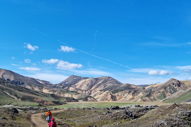 Private Day Trip in Landmannalaugar South Region Area on a 4x4 Truck - Customer Support Details