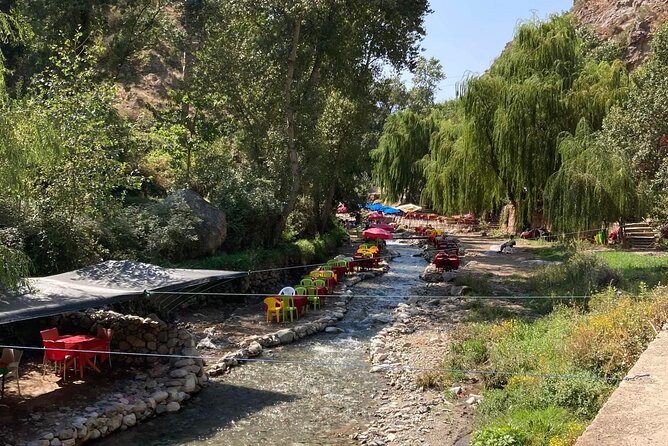 Private Day Trip of Ourika Valley & Atlas Mountains - Customer Reviews