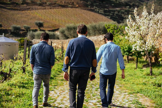 PRIVATE Day Trip Through Enchanting Douro Valley by Car & Boat - Town Visits and Wine Tastings