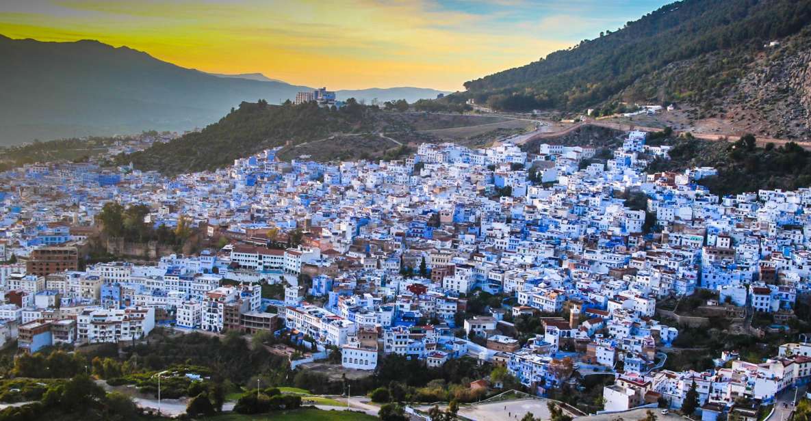 Private Day Trip to the Blue City of Chefchaouen - Key Trip Details