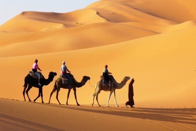 Private Desert Safari in Dubai With Pickup - Exclusive Private Tour Itinerary