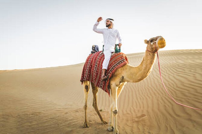 Private Desert Safari Tour in Dubai - Reviews