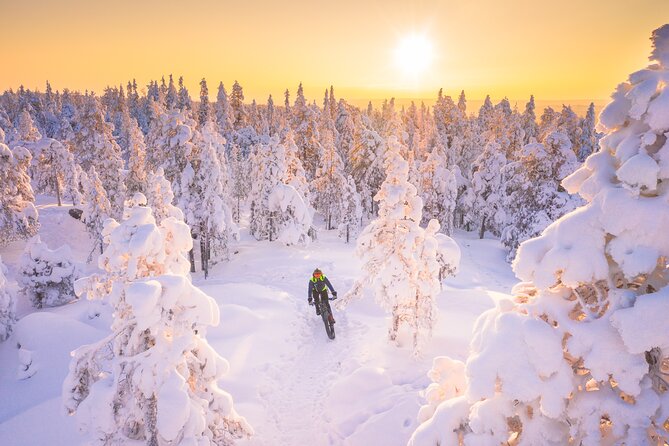 Private Electric Fat Bike Winter Tour in Rovaniemi - What to Expect