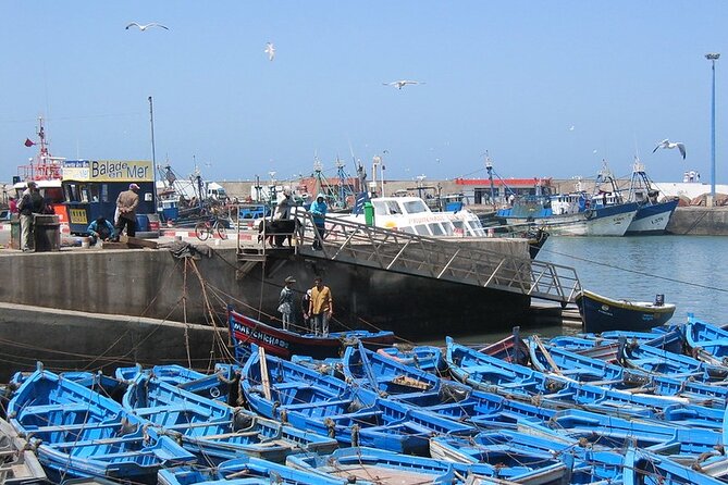 Private Essaouira Day Trip From Agadir - Inclusions and Amenities