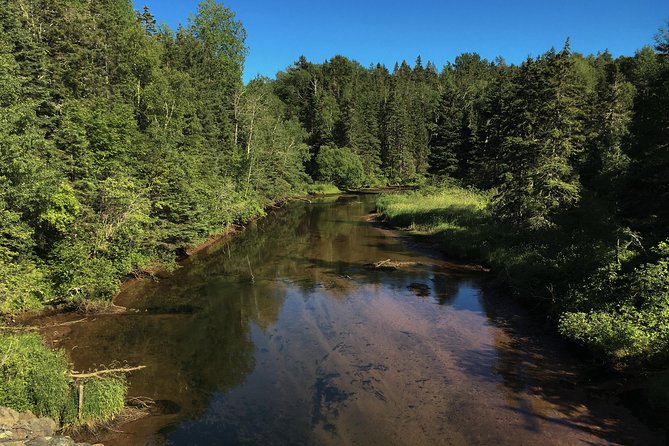 Private Four-Hour Guided Fly Fishing Experience  - Prince Edward Island - Meeting and Pickup Information