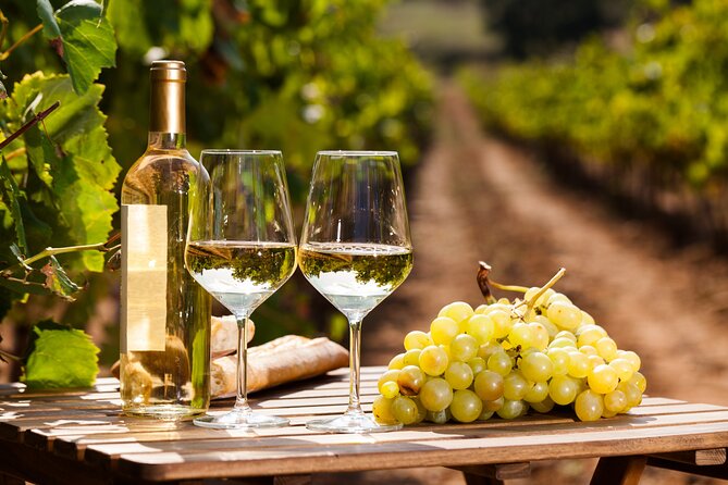 Private Frascati Day Trip With Lunch & Wine Tasting in a Vineyard - Customer Reviews and Ratings
