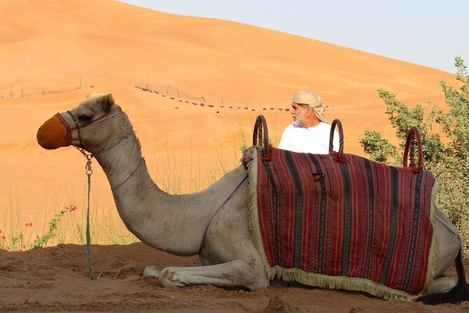 Private Full Day Guided West of Qatar Tour and Desert Safari - Itinerary Overview