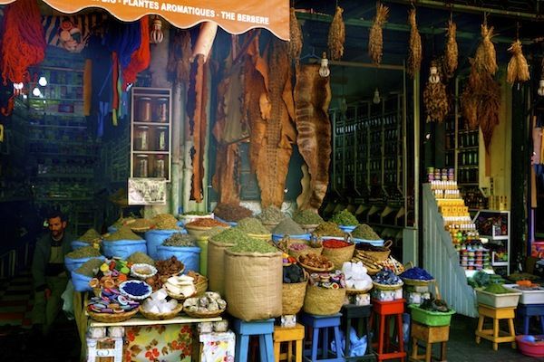 Private Full-Day Marrakech Trip From Agadir - Activity Details