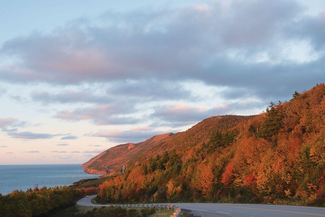 Private Full-Day Road Trip Along Nova Scotias Cabot Trail  - Cape Breton Island - Food Options and Culinary Delights