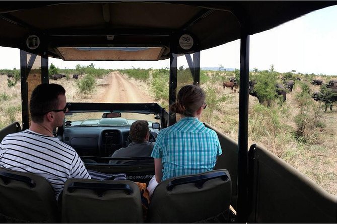 Private Full Day Safari L Kruger National Park From Hazyview or Skukuza - Cancellation Policy