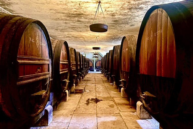 Private Full Day Setúbal & Arrábida Wine Tour With Lunch - Lisbon - Tour Highlights and Itinerary