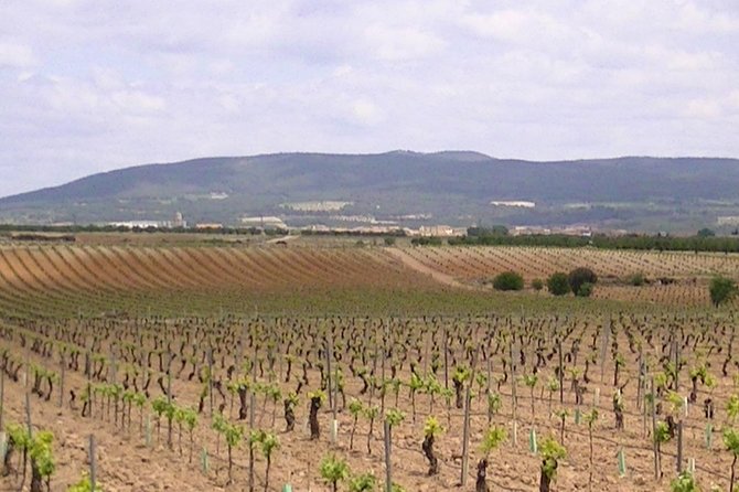 Private Full-Day Tour to Winery- Requena (Booking 2 Weeks Before) - Inclusions