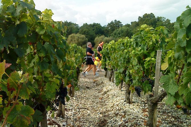 Private Full Day Winery Tour From Bordeaux With Hotel Pick up & Drop off - Cancellation Policy