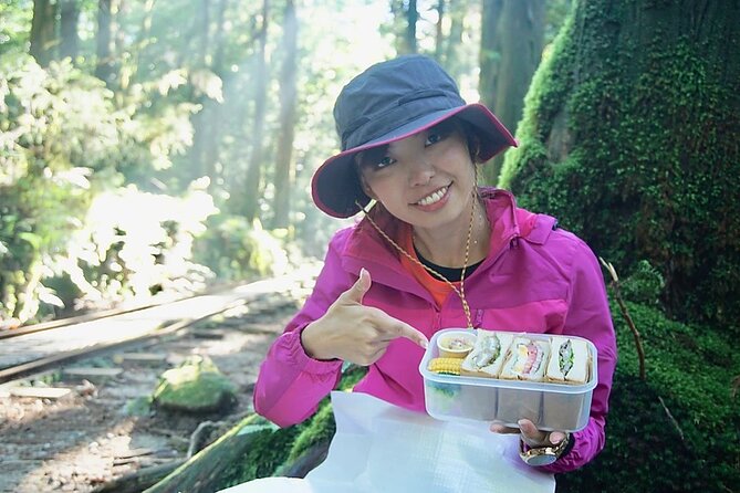 [Private Guide & Plan With Bento] Lets Walk in the Forest of Thousands of Years of Age! Jomon Cedar - Meeting and Pickup Details