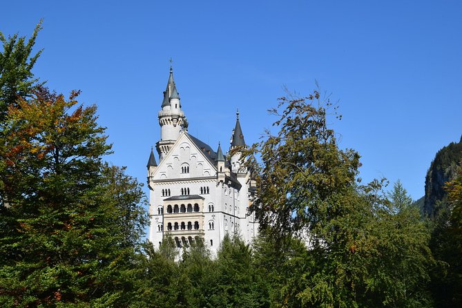 Private Guided Day Trip to Castle Neuschwanstein Incl. Carriage Horse Ride - Limousine Ride Experience