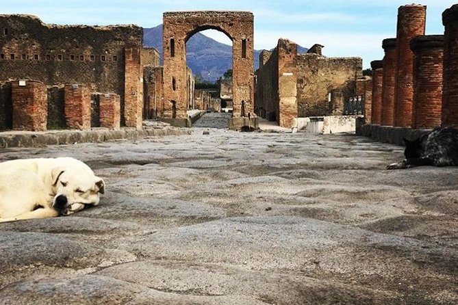 Private Guided Tour. Experience the Everyday Life of the Eternal Town of Pompeii - Inclusions