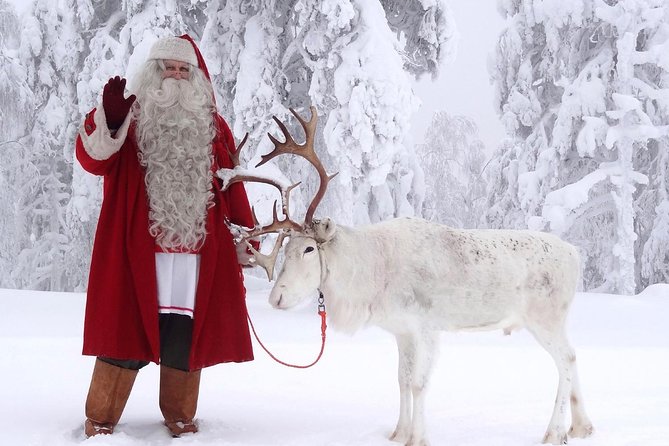 PRIVATE Guided VIP Car Rovaniemi City Tour & Santa Claus Village - Booking Process and Confirmation