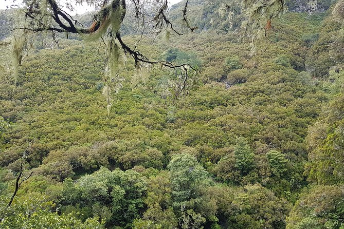 Private Guided Walk Levada 25 Fontes - Cancellation Policy Details