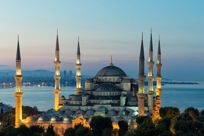 Private Guided Walking Tour in Istanbul - Tour Overview and Experience