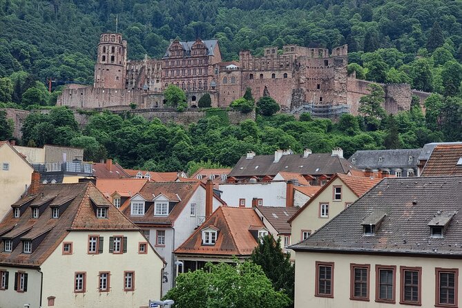 Private Half-Day Heidelberg Tour From Frankfurt - Cancellation Policy