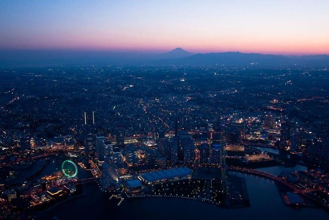Private Helicopter Tour to See Mt Fuji or Tokyo Tower - Essential Information