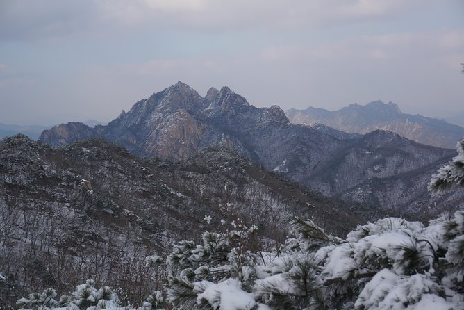 Private Hiking Tour to Bukhansan Peak(Baegundae: 836.5m) With Mountain Expert - Customer Reviews and Recommendations