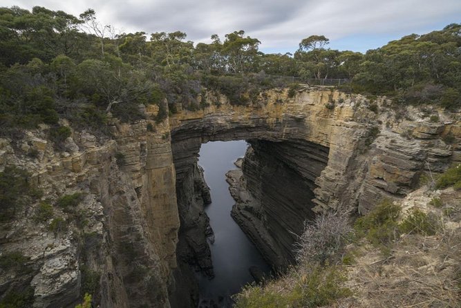 Private Hobart Discover South East Food and Scenic Tour - Tour Logistics