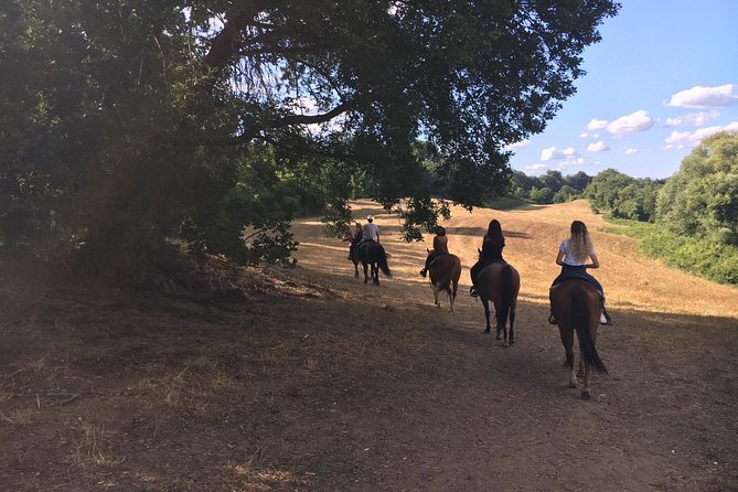 Private Horse Ride in the Veio Park in Rome - Accessibility and Recommendations