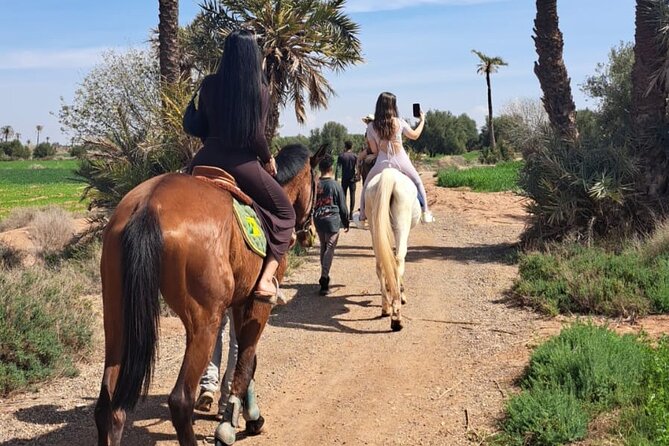 Private Horseback Ride in the Palmeraie of Marrakech - Pricing and Booking Information