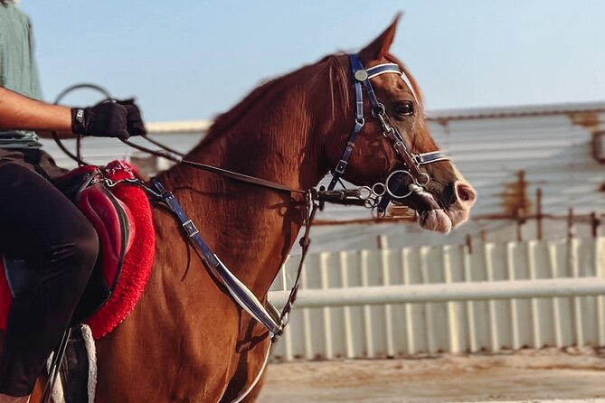 Private Horseback Riding Experience in Doha - Cancellation Policy