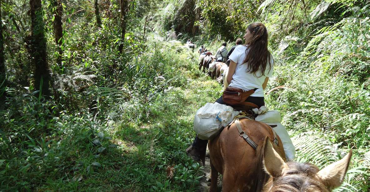 Private Horseback Riding Tour to Tres Chorros Waterfall - Experience Highlights