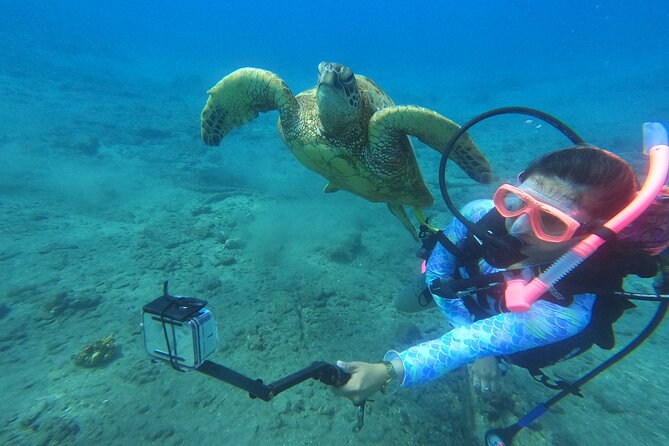 Private Intro SCUBA Adventure - Inclusions