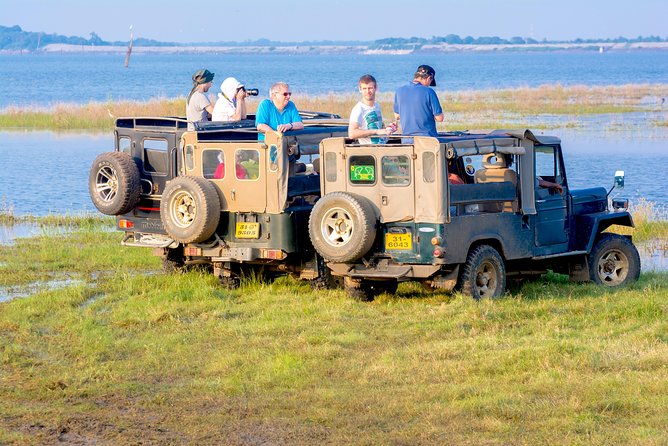 Private Jeep Safari at Minneriya National Park - Experience Details