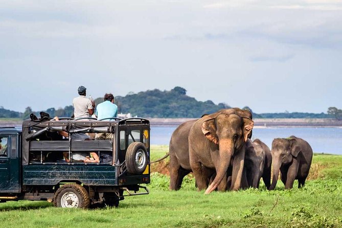 Private Jeep Safari to One of a Best National Park - Detailed Tour Itinerary and Inclusions