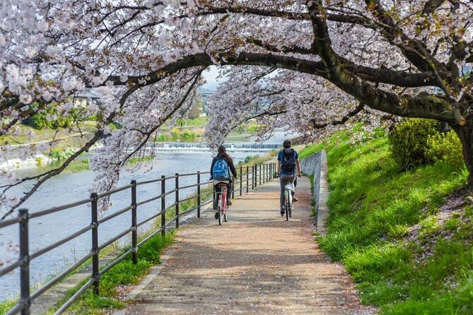 Private Kamigamo River Electric Bike Tour - Meeting and Pickup