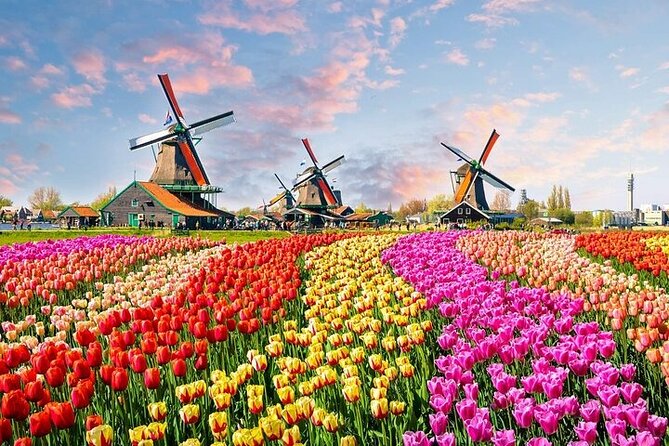 Private Keukenhof Tulip Fields & Flowers Sightseeing Tour From Rotterdam - Itinerary Overview