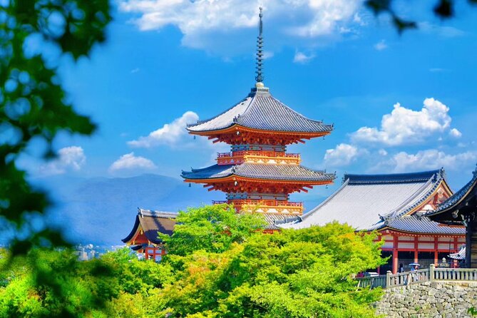 Private Kyoto Full Day Tour With Driver and Car From Osaka - Cancellation Policy Details